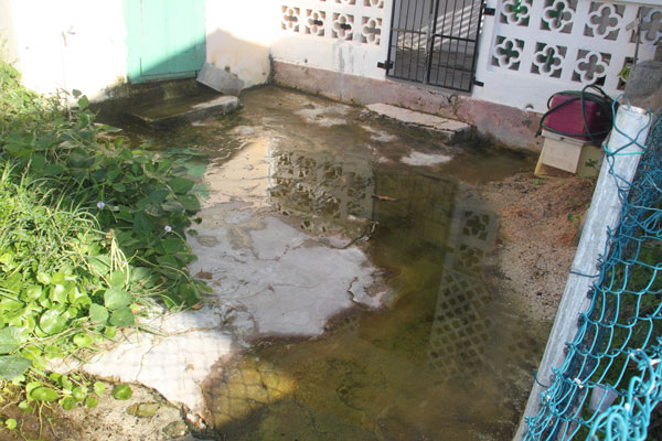 Raw sewage water lodged in front of a resident’s home on Lime Road. sewageinyard20012012