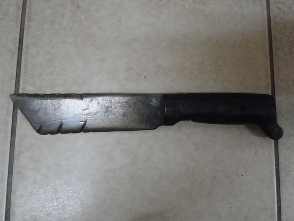 filedmachete14022011