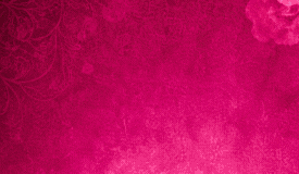 Vinaora Nivo Slider 3.x