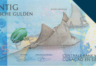 Allegations of counterfeit Cg 20 banknotes.