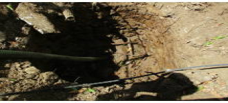 Historic Well Discovered at Charles Leopold Bell School Work Site.