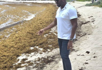 MP Lyndon Lewis Urges Government to Address Sargassum Concerns and Protect St. Maarten’s Tourism Image.