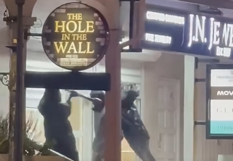 Attempted robbery on a jewelry store.