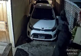 Attempted Armed Robbery on Back Street.