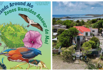 Free Migratory Bird Festival at Amuseum Naturalis on Saturday, October 10th.