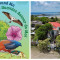 Free Migratory Bird Festival at Amuseum Naturalis on Saturday, October 10th.