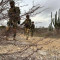 Caribbean troops train intensively during exercise Caribbean Strike on Bonaire.