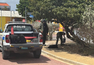 Defense supports police regarding potential explosive in Aruba.