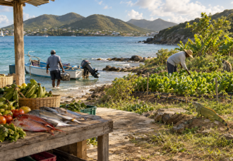 SMN NEWS SPECIAL REPORT:   Fighting the Cost of Food: Why Saint Martin must put fishers and farmers at the center of its response.