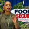 Breadfruit initiative raises harder food-security questions over monkeys, iguanas and water.