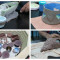 NIA wraps Up “Let’s Act Break Free” Ceramics Project.                       