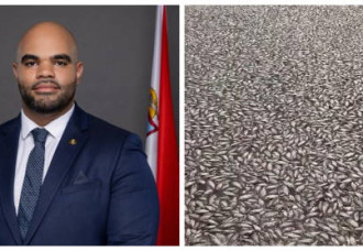 VROMI seeks alternative cleanup methods as massive fish kill overwhelms resources.