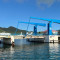Additional Bridge Openings for the 46th Edition of the St. Maarten Heineken Regatta.