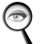 The Art of Political Convenience: Sarah Wescot-Williams and the Double Standard plaguing St. Maarten.