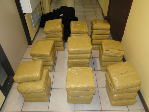 confiscatedmarijuana30032012