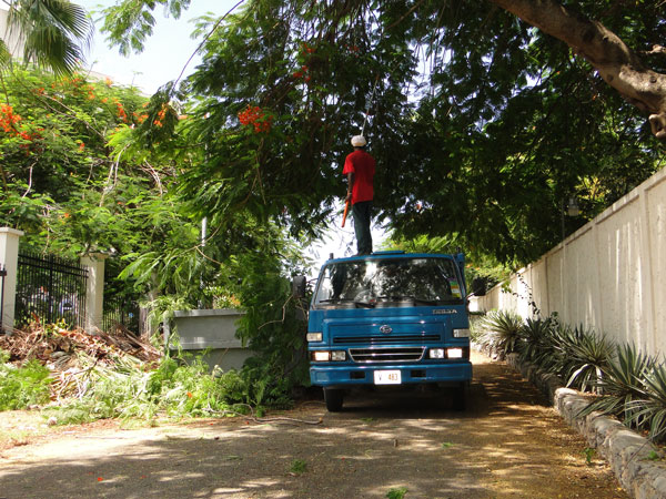 cposhelpcleanuplowlands02092012
