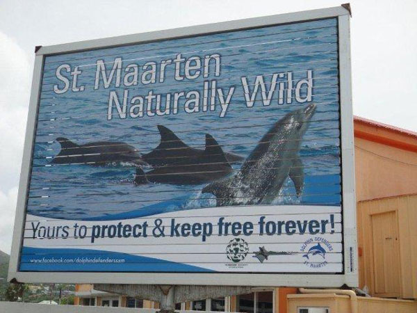 dolphindefendersbillboard23072012