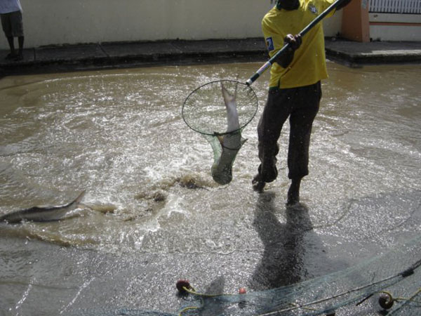 fishingingreatsaltpond08102012