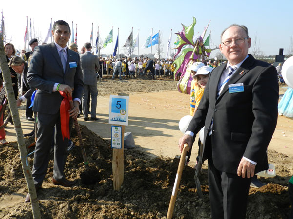 mvogesplantsguavaberrytreeinholland23032012