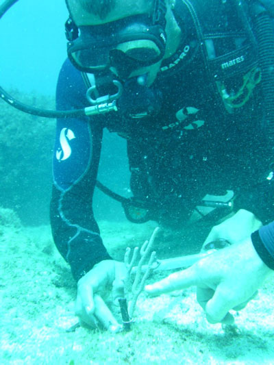 naturefoundationvolunteerstransplantcoral27082012
