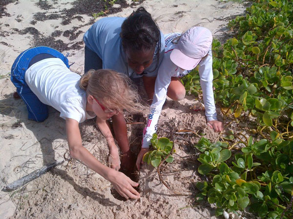 sxmnaturefoundationrecordinglbseaturtlehatching02082012