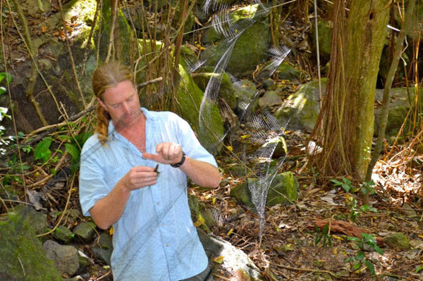 adambrownstudyingbirds25122013