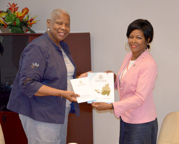 garrindellreceivesannualreportfromcouncilofadvice03072013