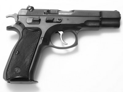 gun20112013