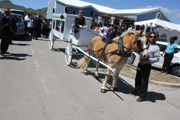horsehearse23022013