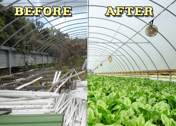 lowlandscommunitygardengreenhousebeforeandafter11072013