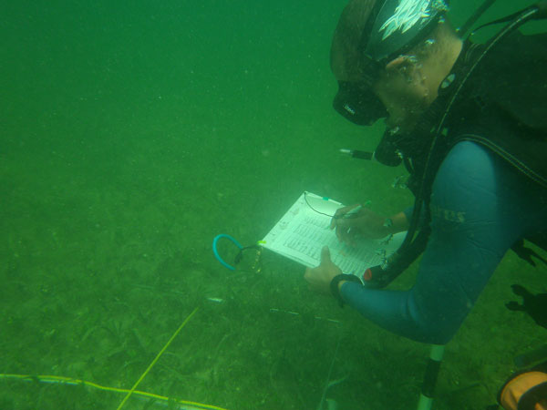 mulletpondresearch20012013