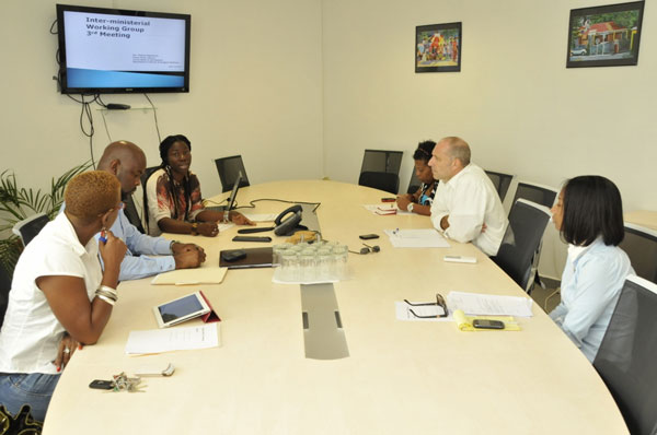 ndpinterministerialmeeting14062013
