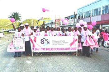 pjiaeatpinkparade09102013