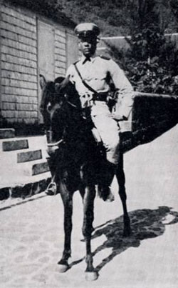 policemanonhorse11022013
