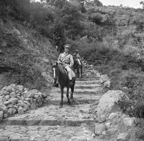policepatrolingonhorses11022013