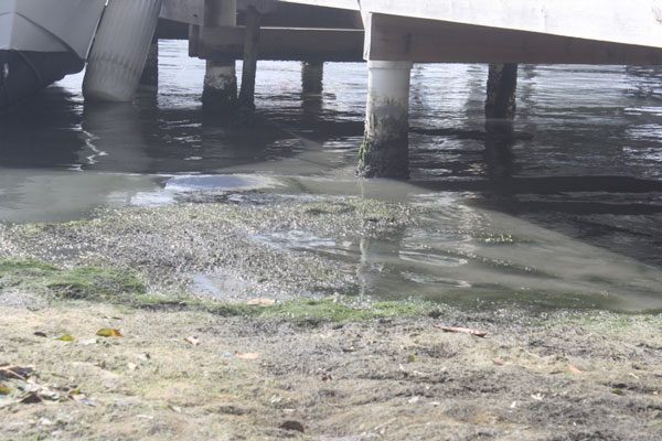 pollutedlagoon18022013