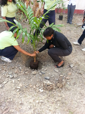 sjacobsattreeplantingceremonyforseniors23032013