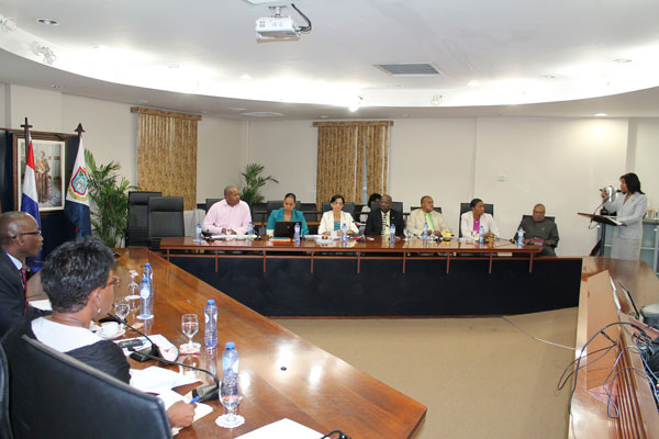 smdfpresentationtocom24022013