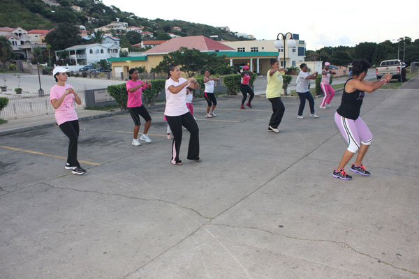 swescotwilliamszumbasessionatsmmc22102013