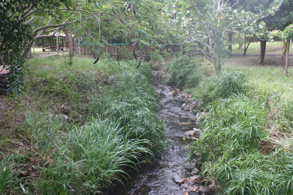 waterqualityewe11012013