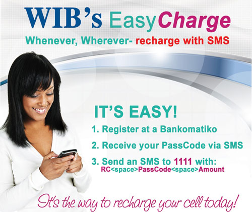 wibeasycharge18032013