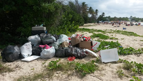 garbageleftonmulletbaybeach13012014