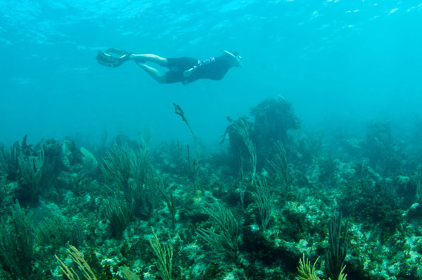 snorkeling20012014