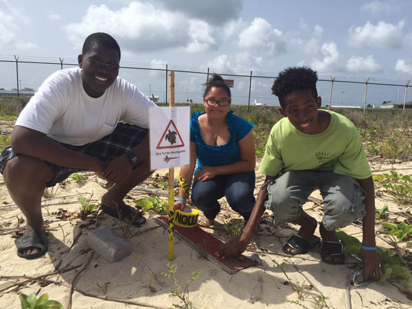 seaturtlenesting22062015