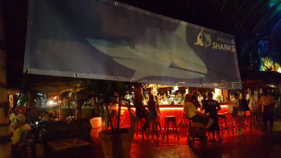 sharkparty12062018