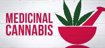 medicinalcannabis04082019