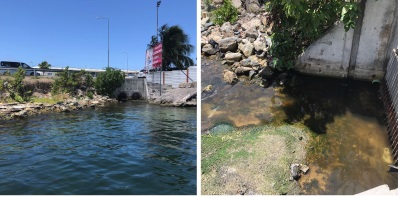sewage10062019
