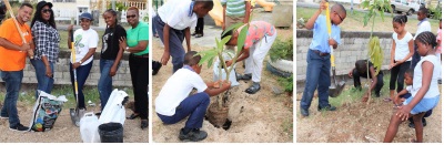 treeplanting06062019