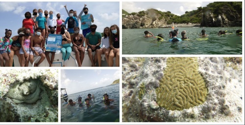 coralnaturefoundation05112020