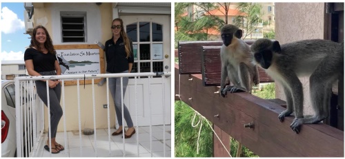 monkeyresearch10122020
